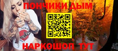 соль ск Новодвинск