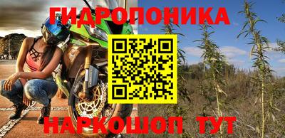 соль ск Новодвинск