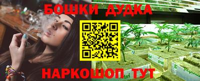 хмурый Новокубанск