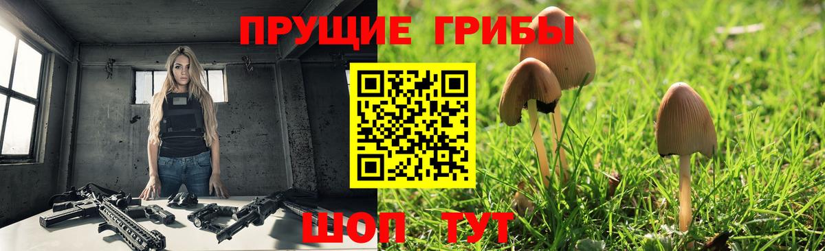 Мурино  Галлюциногенные грибы Psilocybe  Вход с VPN 