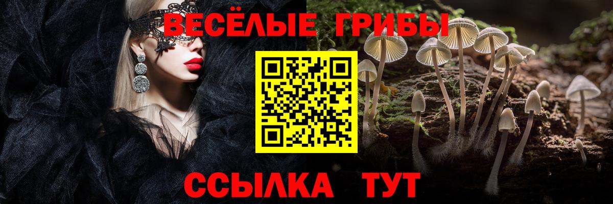 Галлюциногенные грибы мицелий Мурино